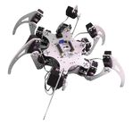 Pies educativos de araña hexápoda biónica del robot del robot hexápodo de Diy 6